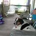 Teri Dashner - Facebook
