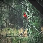 Terry Ann Attaway Deason - @terryannattaway - Instagram