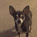 Terri Deaton - Facebook
