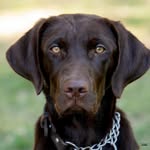 Terry Deaton - @loveselk19 - Instagram
