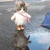 порнозвезда - @ddebauchery - TikTok