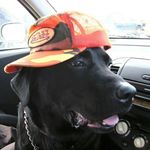 Terry Dent - @terrydent642 - Instagram