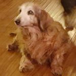 Terry Derryberry - @terryderryberry - Instagram