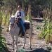 Terry Devaney - Facebook