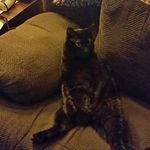 Terry L Dimick - @terrydimick - Instagram