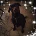 Theresa Ditzler - Facebook