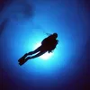 Terry - @terry_diver - TikTok