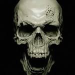 Terry Dobbs - @dobbs_terry - Instagram