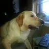 PapaD - @terrydockins6 - TikTok