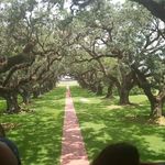 Terry Dockins - @terrydockins72 - Instagram