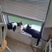 Terry Dodge - Facebook
