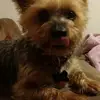 Terry Mix - @terrydodgecrazy - TikTok