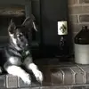 terrydoss451 - @terrydoss451 - TikTok