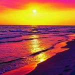 Terry Dow - @terrydow16 - Instagram