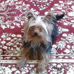 Terry Dowling - @terrydowling12 - Instagram
