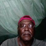 Heninston Terry Terry Downs - @heninstonterryterrydowns - Instagram