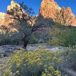 Terry Downs - @kbeerman31 - Instagram