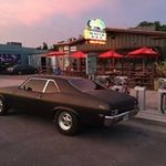 Terry Downs - @terry.downs - Instagram