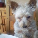 Terry Doyle - @terry.doyle.5494 - Instagram