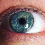 Terry Doyle - @exotericus - Instagram