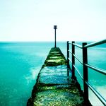 Terry Doyle - @terry_doyle - Instagram