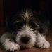 Terry Drawdy - Facebook