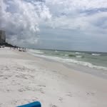 Terry Dreyfus - @terrydreyfus - Instagram