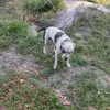 Terry Driggers - @terry.driggers5 - TikTok