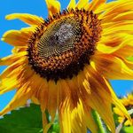 Terry Driggers Roberts - @terrydriggersroberts - Instagram