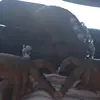 terrydriver918 - @terrydriver918 - TikTok