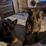 Terry Newcomb Drumheller - @drumheller920 - Instagram
