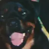 Terri Drury - @terri.drury4 - TikTok