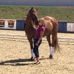 Terry Ann Drysdale - @terryanndrysdale - Instagram