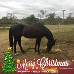 Terry Drynan - @terrydrynan - Instagram