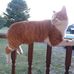 Terry Dube - Facebook