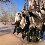 Terry Dugas - @south_la_timber_hunter - Instagram