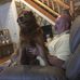Terry Dugger - Facebook