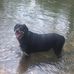 Terry Dulin - Facebook