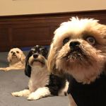 Terry DuVall - @terryduvall1007 - Instagram