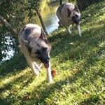 Terry Dye - @tdawgz2002 - Instagram