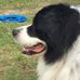 Terry Eagles - Facebook