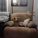 Terry Eakle - Facebook