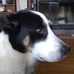 Terri Earnhardt - Facebook