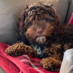 Terry Eberhardt - @terry.eberhardt - Instagram