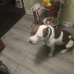 Terry Eberhardt - @eberhardtterry9 - Instagram