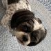 Theresa Eberhart - Facebook