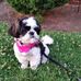 Teresa Ebersole - Facebook