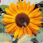 Terry H Ebersole - @terryhebersole - Instagram