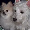 Terry Eddy - @terry.eddy - TikTok