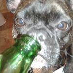 Terry Eden - @timbertel1_ - Instagram